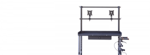 Whaley Rail II